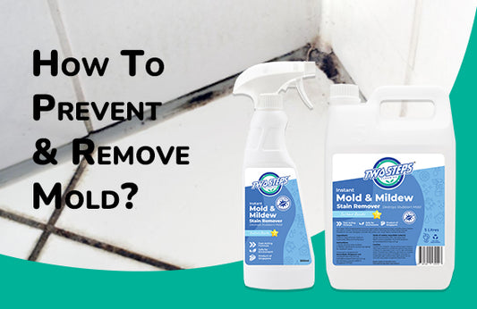 How to prevent and remove mold?