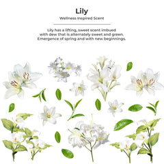 Hand Soap 500ml - Lily